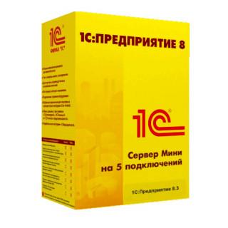 1С:Предприятие 8.3. Сервер МИНИ на 5 подключений